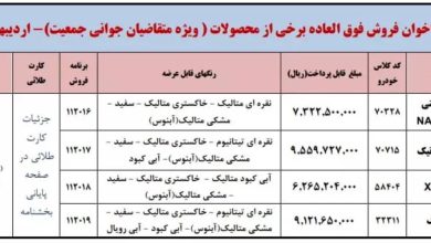 ایران خودرو